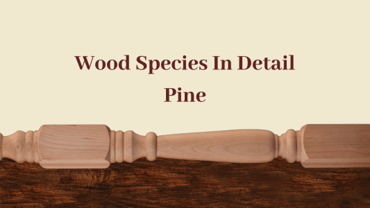 Wood Species In Detail – Pine
